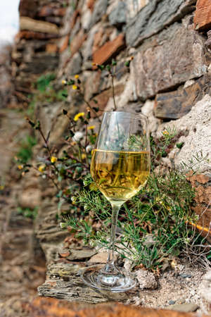 Full glass of Riesling wine on slate rock, Moselle winemaking region, Germanyの写真素材