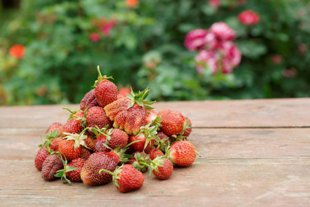 Fresh strawberries on wooden table in blooming garden
