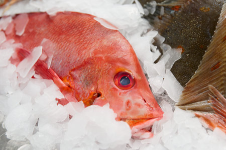 Red snapper on market display, close-up shot