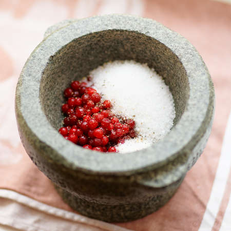 Salt and redberry in mortar, marinade ingredients, soft focusの写真素材