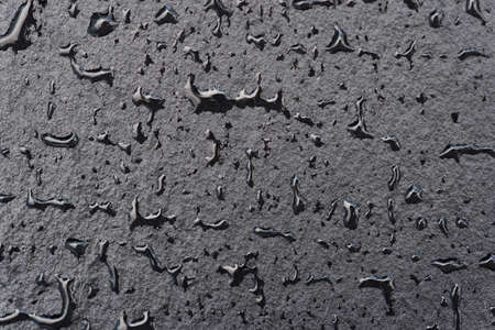 Slate with drops of water texture, macro shotの写真素材