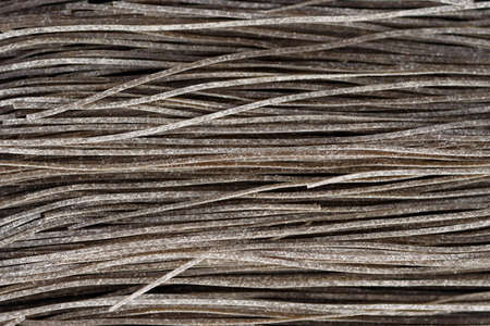 Black pasta dyed with squid sepia ink, Mediterranean stapleの写真素材