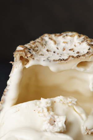 Goat cheese crust and soft insides close-up