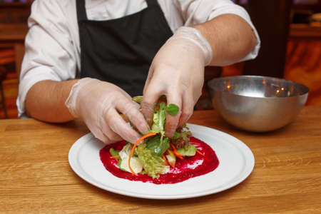 Chef is serving vegetable appetizer on white porcelain plate, copy spaceの写真素材