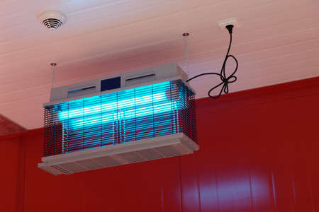 Insecticide lamp used to lure and electrocute flying insects on food processing plantの写真素材