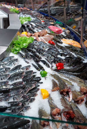 Great variety of fish and seafood on iced supermarket stallの写真素材