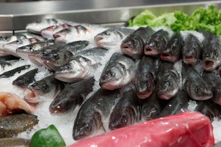 Great variety of fish and on iced supermarket stallの写真素材