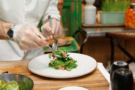 Professional chef is serving vegetable starterの写真素材