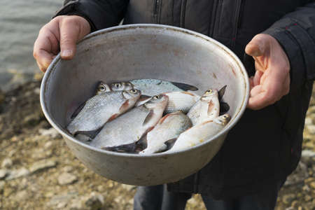 Fisherman holds an alominium bowl with breamsの写真素材
