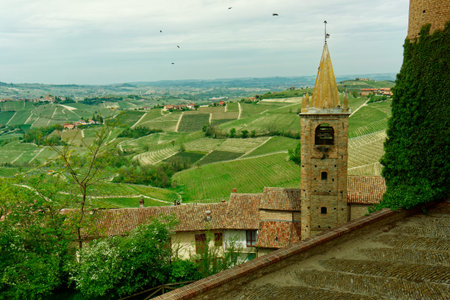 Serralunga di Alba town and vineyards, Piedmont, Italy