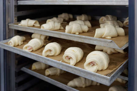 Raw buns in proofing cabinet, commercial bakeryの写真素材
