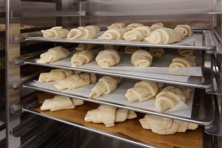 Frozen croissants and dough buns on baking sheets