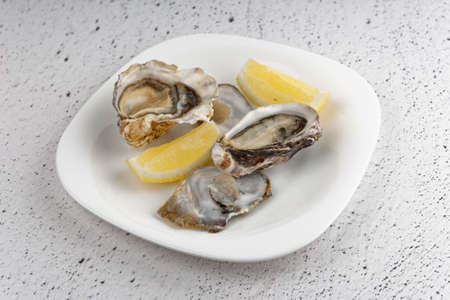 Oysters in plate on gray concrete backgroundの写真素材
