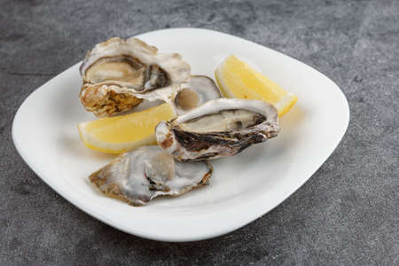 Oysters in plate on gray concrete backgroundの写真素材