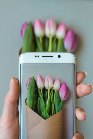 female hands taking a picture of beautiful fresh tulips with smartphone.の写真素材