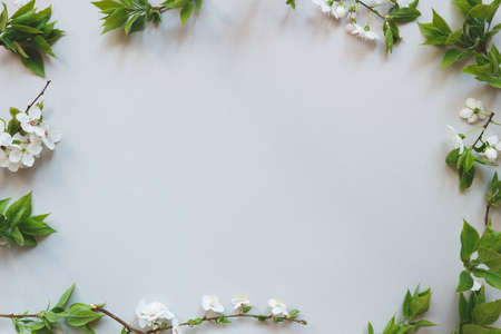 Spring tender background. Beautiful fresh flowers and leaves on gray background.の写真素材