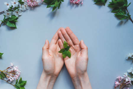 female hands with young plant on the gray background. Ecology concept.の写真素材