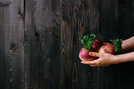 Organic vegetables. Hands holding fresh swede. Black wooden background with copy space.の写真素材