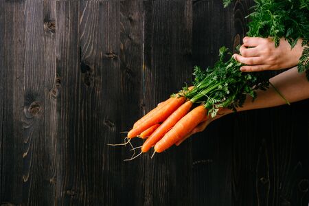 Organic vegetables. Hands holding fresh carrots. Black wooden background with copy space.の写真素材