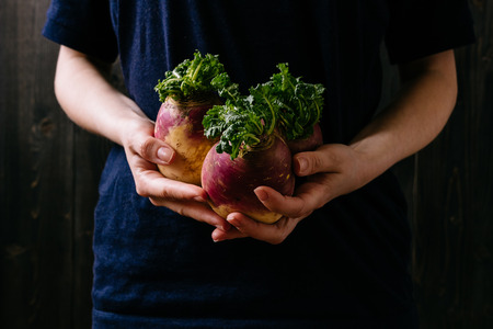 Organic fresh harvested vegetables. Farmer's hands holding fresh swede, closeup.の写真素材