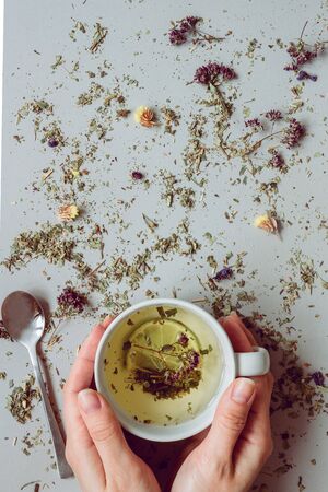 Tea background. Hands holding cup of hot tea. Dry herbal tea on the gray background, top view. Copy space.の写真素材