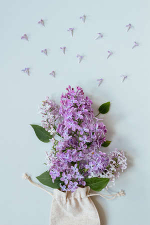 Flowers composition. Tender background. Beautiful fresh lilac flowers on gray background.の写真素材