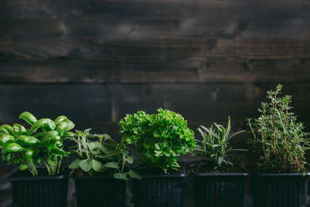 Fresh herbs on the wooden background with copy space.の写真素材