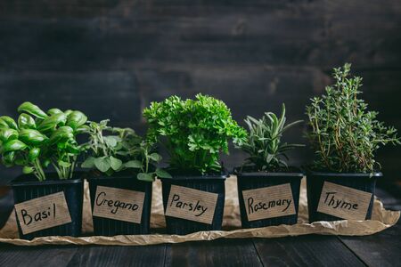 Fresh herbs on the wooden background with copy space.の写真素材