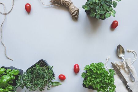 Fresh herbs on the gray background, top view. Rustic background with copy space.の写真素材