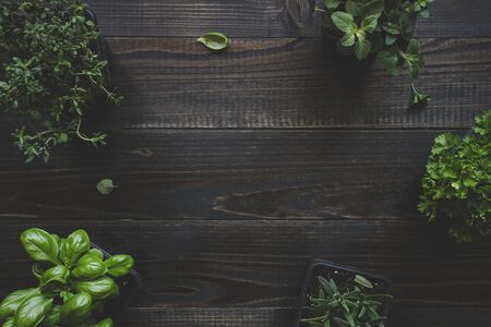 Fresh herbs on the wooden background with copy space.の写真素材