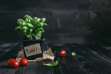 Fresh basil in pot and tomato on the wooden background with copy space.の写真素材