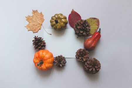 Autumn background with decorative pumpkins, leaves and cones on gray background.の写真素材