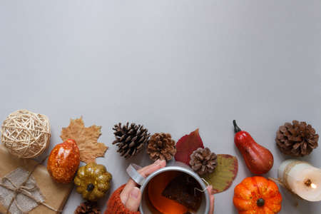 Autumn background. Hands holding cup of tea, autumn decoration on gray background. Copy spaceの写真素材