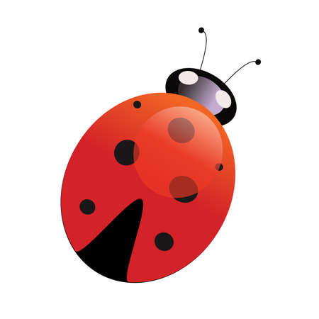 Vector illustration insect ladybug on a white background isolationのイラスト素材