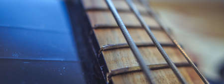 Vulture old bass strings without first close-upの写真素材