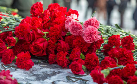 a few red carnations on snow in winterの写真素材