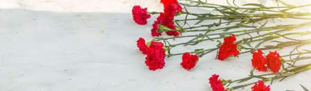 a few red carnations on snow in winterの写真素材