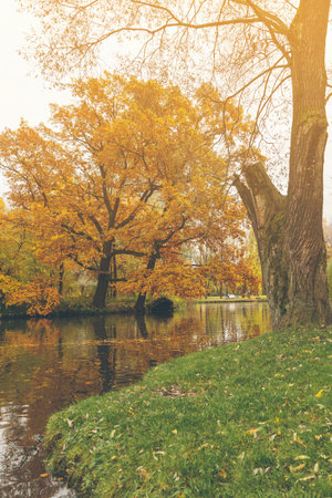 park in the fall in St. Petersburg. Toned