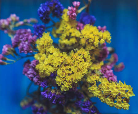 multi-colored dried spring flowers close-up on a wooden backgroundの写真素材
