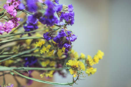 multi-colored dried spring flowers close-up on a wooden backgroundの写真素材
