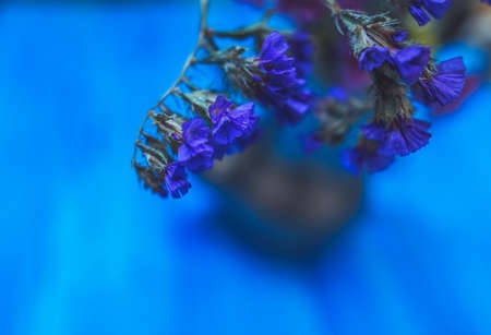 multi-colored dried spring flowers close-up on a wooden backgroundの写真素材