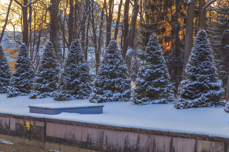 park in winter at sunset in Russia