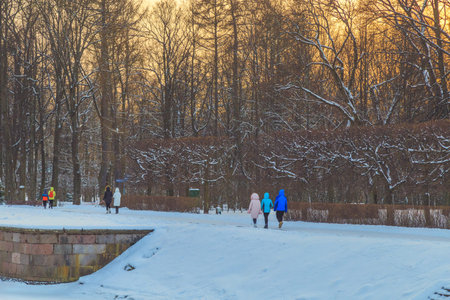park in winter at sunset in Russiaの写真素材