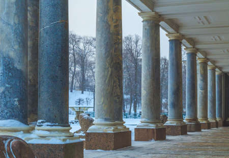 park in winter at sunset in Russia in Peterhofの写真素材