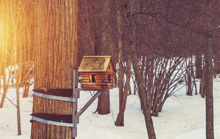 Nesting box in winter in the woods close upの写真素材