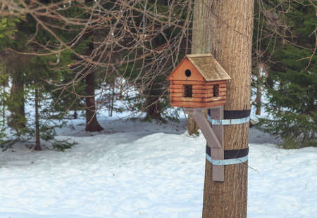 Nesting box in winter in the woods close upの写真素材