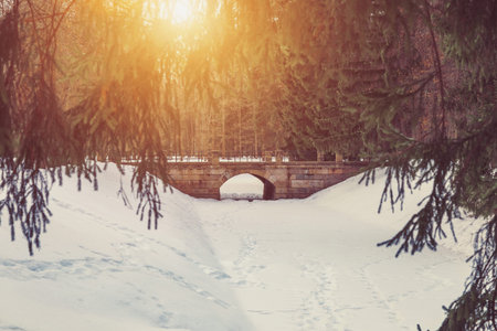 Park in winter at sunset in Russia