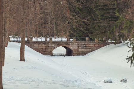 Park in winter at sunset in Russiaの写真素材