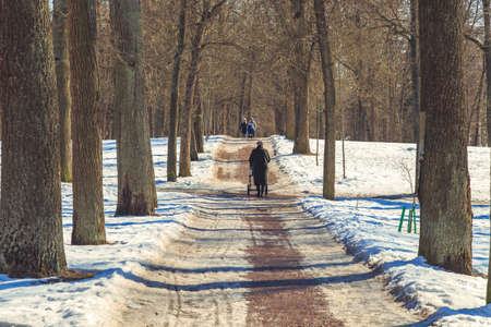 people are walking in the spring park in Russiaの写真素材