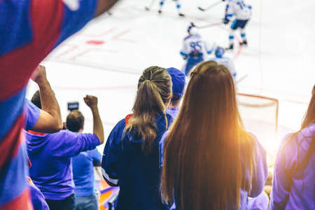 fans on the hockey match back viewの写真素材